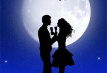 《不是无情疯批吗?怎么那么粘人!》全集免费在线阅读(姜宝仪谢晏知)-树莓文学